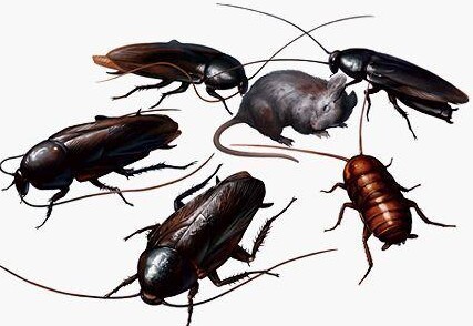 教育行業
